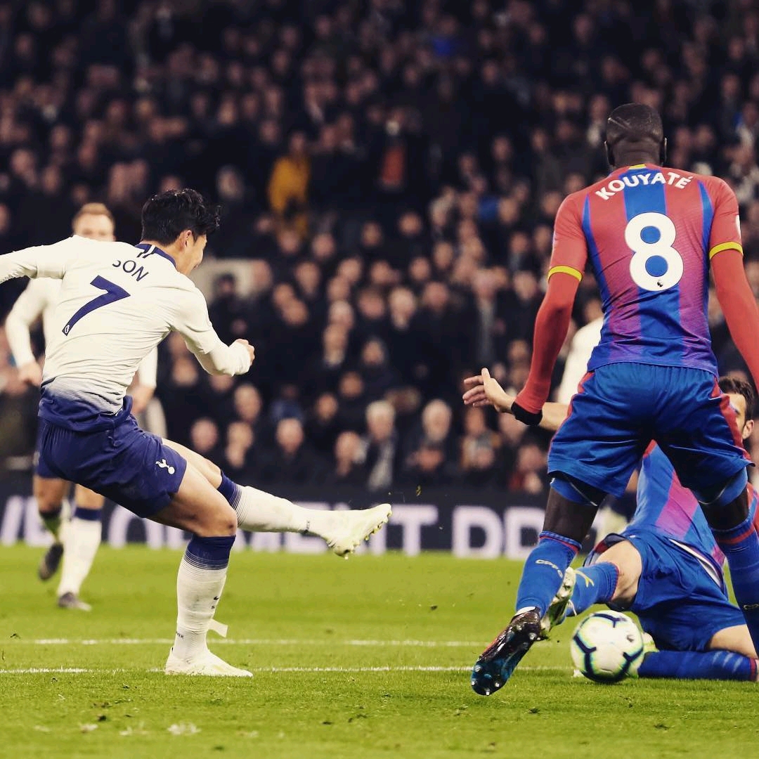 拥有韧劲的 拥有韧劲的